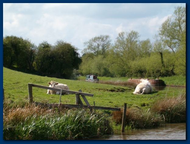 600x449 pixels (139K)